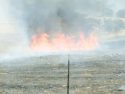 J-59 fire Photo taken by: Anginette Mayes