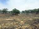 J-59 fire Photo taken by: Anginette Mayes