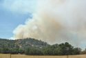 Oak Fire west of Murphy's on Highway 4 Photo taken by: Jim Ridenour