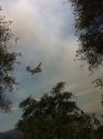 Fraguero Road Fire