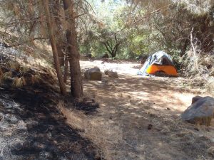 Report Released On The Fire West Of Lowe’s