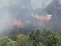 Fire Engine in the middle of the Standard Mill Fire Photo by Jason Banks