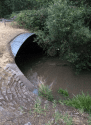 Sullivan Creek At Hidden Valley Road