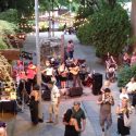 Sonora's Magic of the Night