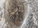 Twain Harte Lake Rock Surface Cracks