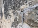 Twain Harte Lake Rock Surface Cracks