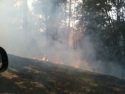 Bridge Fire near Mariposa