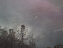 Bridge Fire near Mariposa