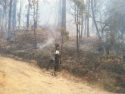 Bridge Fire near Mariposa