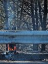 Jackson Fire