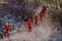 Jackson Fire