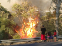 Covey Circle Fire