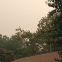 Smoke in Sonora