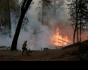King Fire