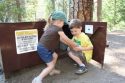 Bear proof food lockers in Yosemite