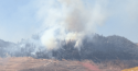 Jacksonville Road Fire