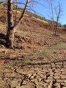 Mud by New Melones near Parrots Ferry Bridge. Photo by Sabrina Ambler