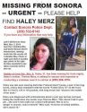 Haley Merz Flyer Update
