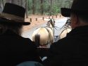 Big Trees Winter Carnival, from the Carriage Ride