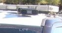 CHP License plate scanning camera