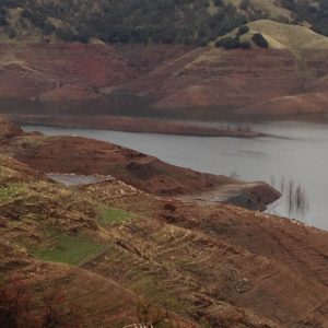 New Melones - archive photo
