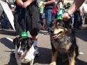 Murphys Irish Day Parade