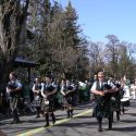 Led by the White Hackle Pipe Band, the Murphys Irish Day Parade makes its way down Main St.