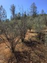 Red Hills Trail