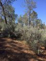 Red Hills Trail