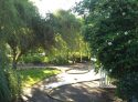 Trees saved on path from Inn to Other Areas