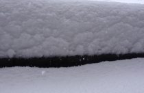 Snow Falling at Dodge Ridge