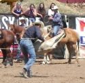 2015 Mother Lode Round-up Rodeo