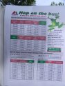 AC-Youth-Parade-Fair-Transit-Times-Poster