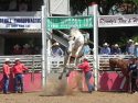 2015 Mother Lode Round-up Rodeo