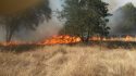 Fire On Fitch Ranch Road