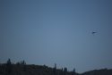 Cal Fire aircraft battle fire in Soulsbyville
