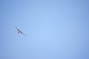 Cal Fire aircraft battle fire in Soulsbyville