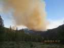 Washington Fire
