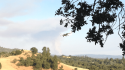 CAL Fire battles Creek Fire