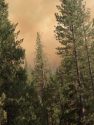 Big Creek Fire