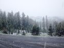 Highway 108 Sonora Pass