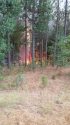 Big Creek Fire