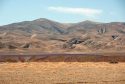 Fallowed Field in San Joaquin County