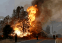 2015 Rocky Fire in Lake County