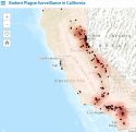 California Rodent Plague Survaillence Map