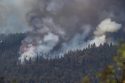 Oak Fire in Cedar Ridge