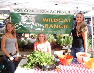 SUHSD Calls Special Private, Public Session Over Wildcat Ranch Lawsuit