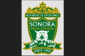 Sonora High School logo