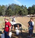 Wildcat Ranch