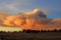 Butte Fire